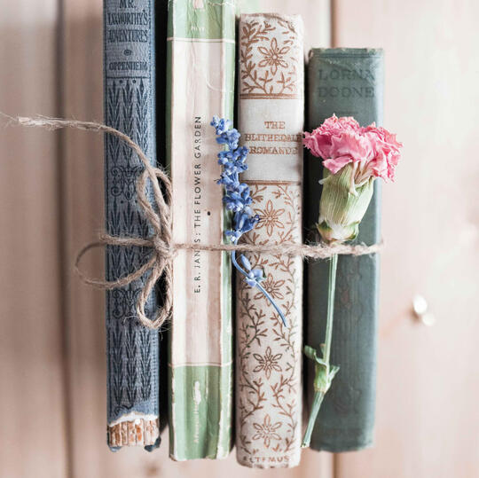 Photo by Paige Cody on Unsplash